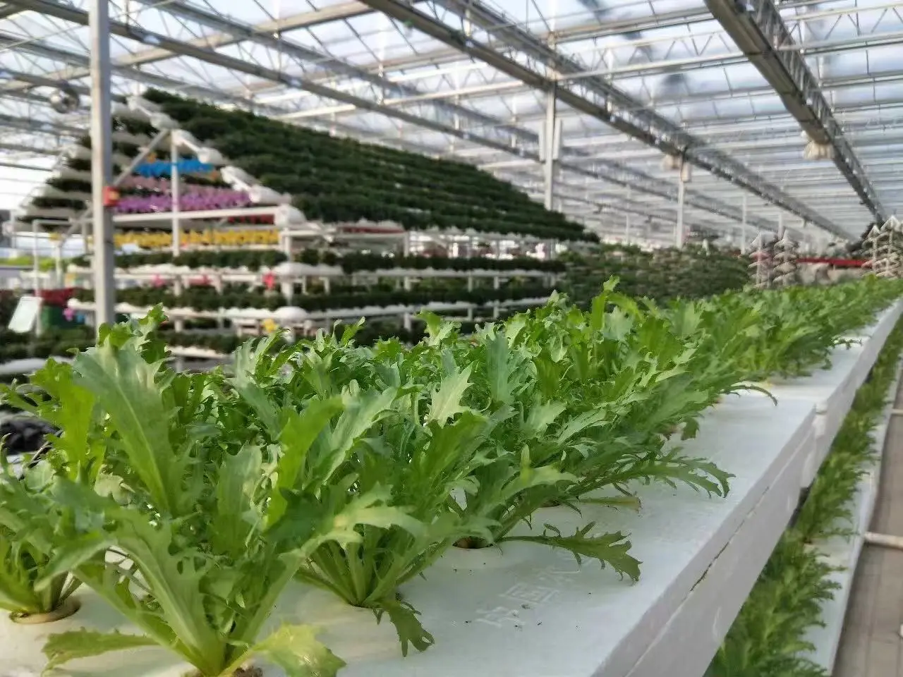 Viedās tehnoloģijas dārzā – kā automatizēt laistīšanu un kopšanu