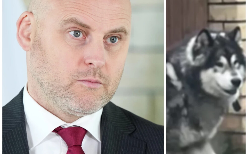 Kulbergs norāda uz Zemkopības ministrijas atbildību pēc Carnikavas suņu uzbrukuma bērniem